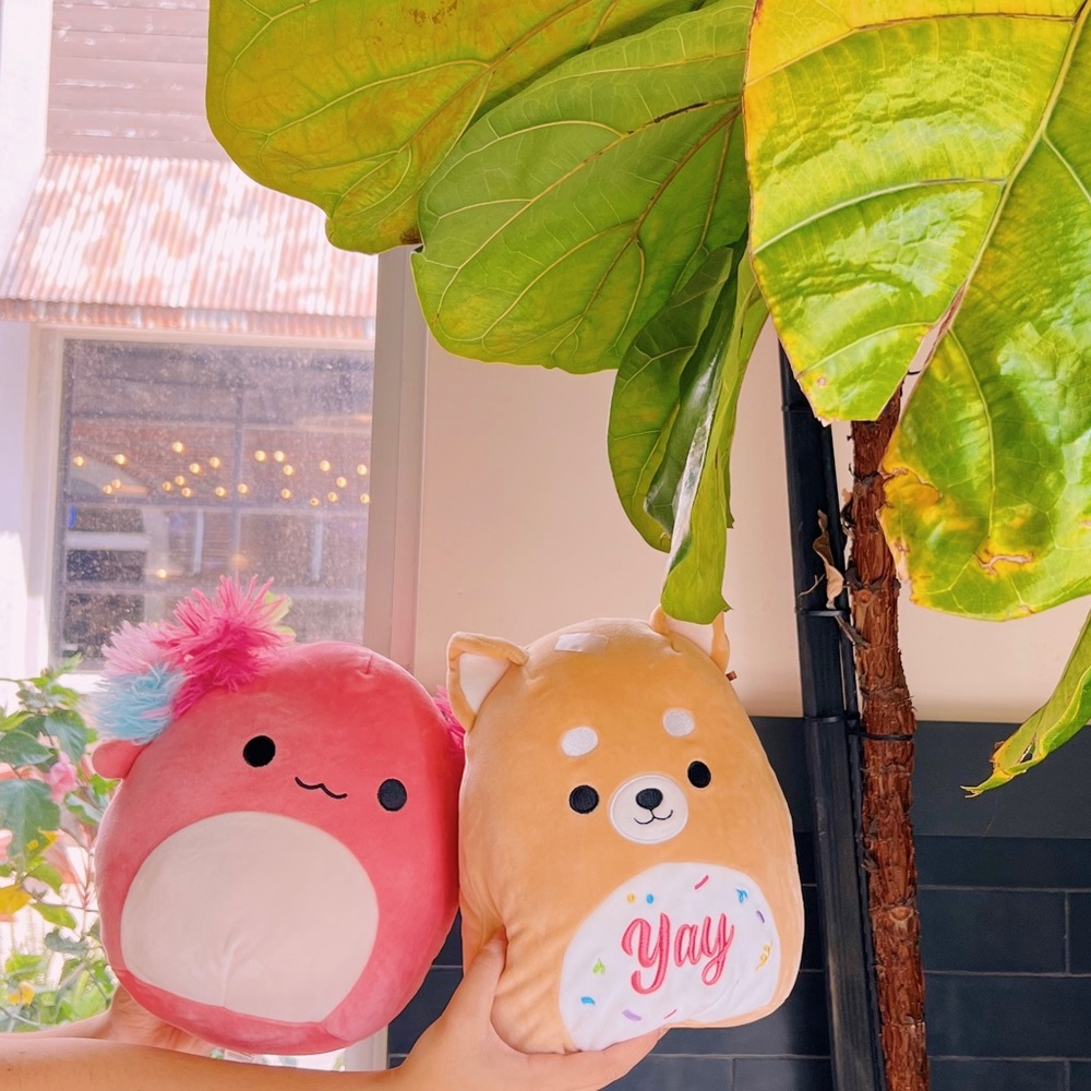 Bundle Squishy + Pug Stuffed Trendy Cute Dog Colorfull Rare